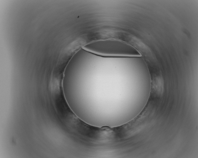 X0000114020333200910091419