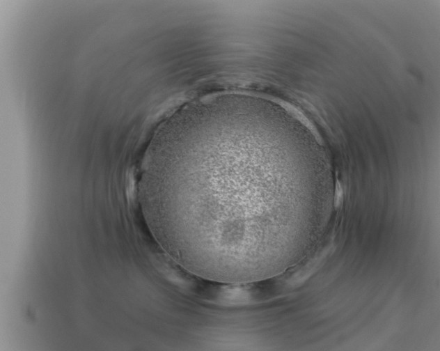 X0000114020335200910091419