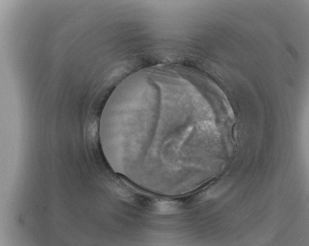 X0000114020336200910091419