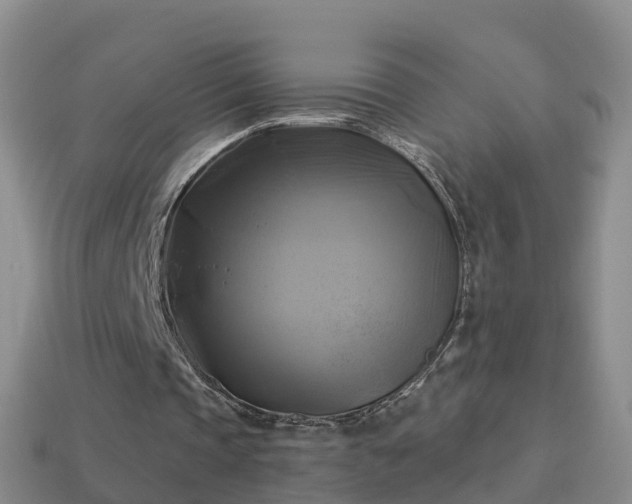 X0000114020337200910091418