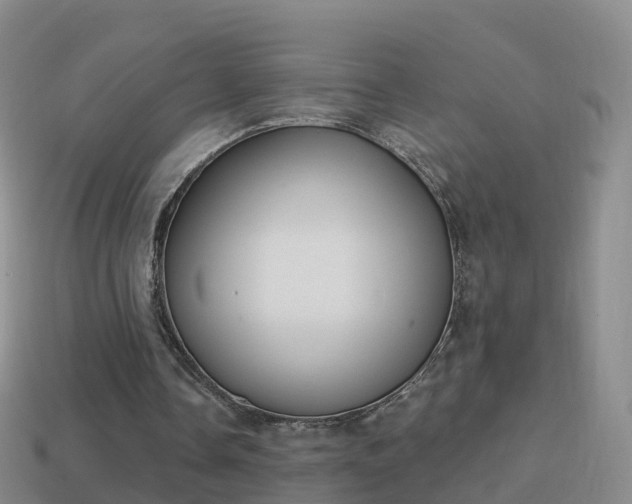 X0000114020338200910091418