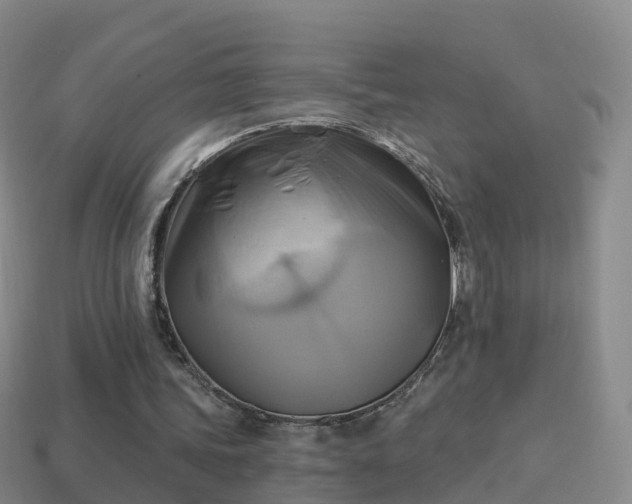 X0000114020339200910091418