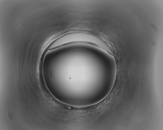 X0000114020340200910091418