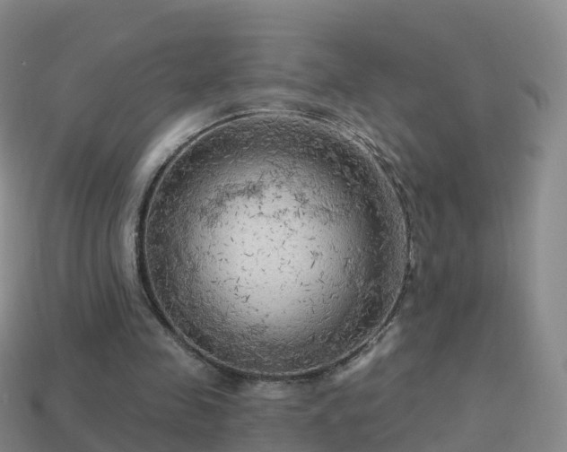 X0000114020341200910091418