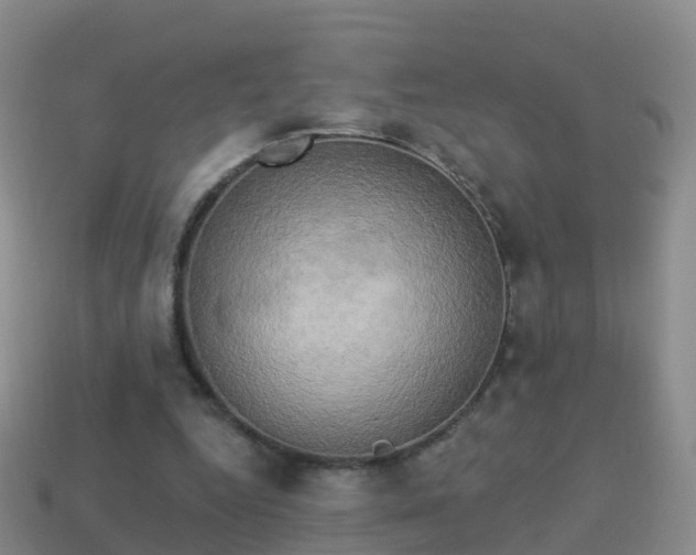 X0000114020344200910091418