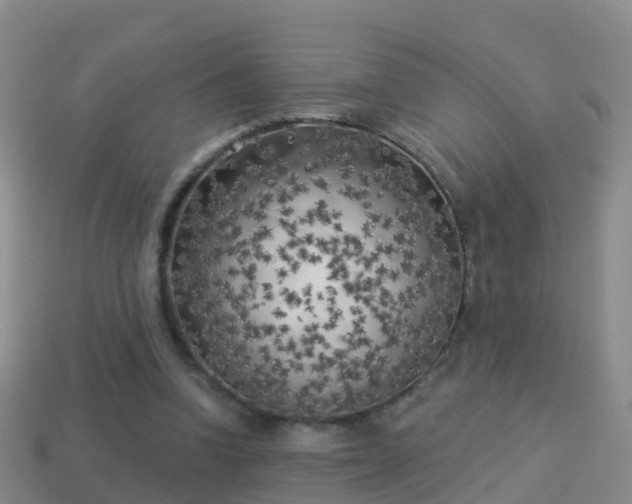 X0000114020346200910091418