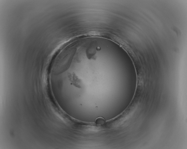 X0000114020347200910091418