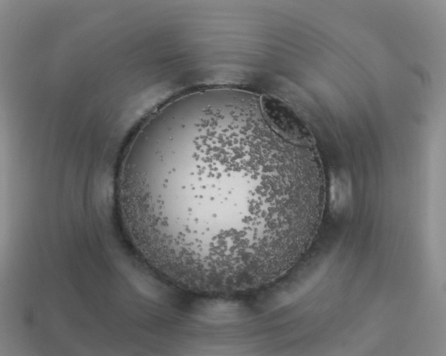 X0000114020348200910091418