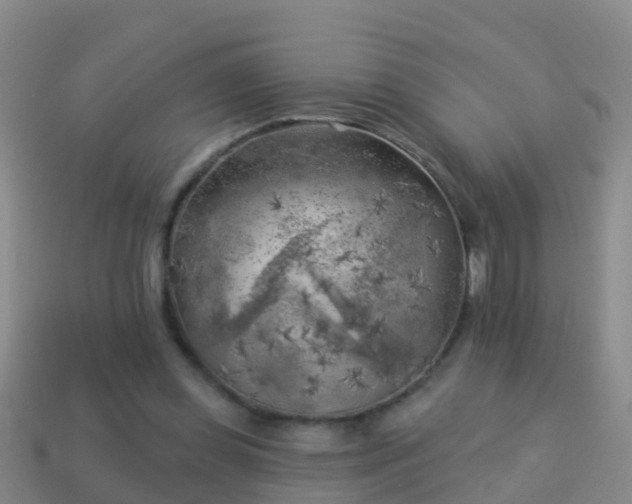X0000114020349200910091418