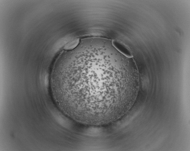 X0000114020350200910091418