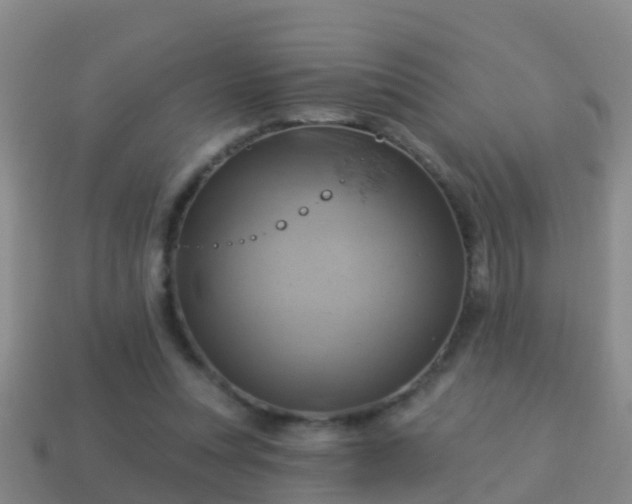 X0000114020351200910091418