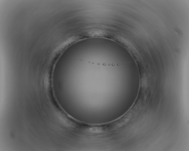 X0000114020353200910091418