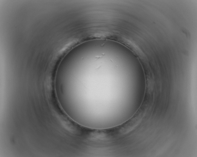 X0000114020354200910091418