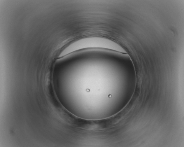 X0000114020356200910091418