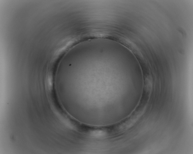 X0000114020358200910091418