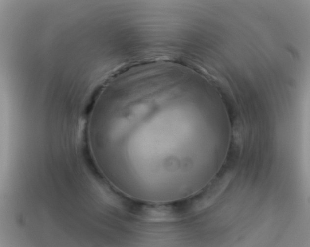 X0000114020359200910091418