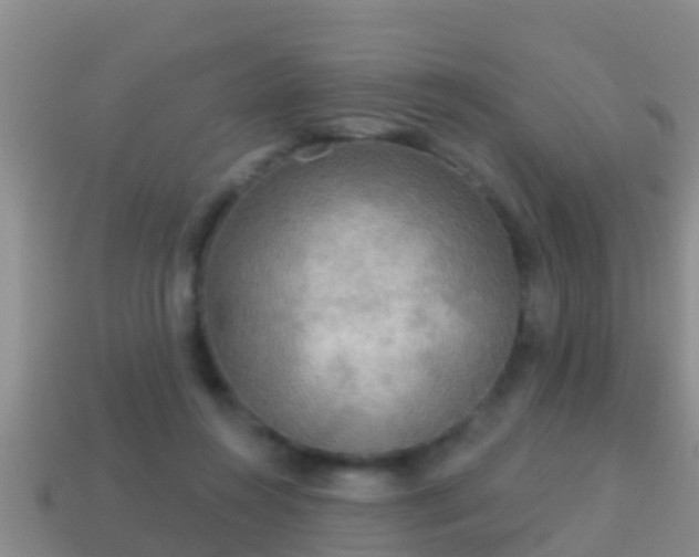 X0000114020360200910091418