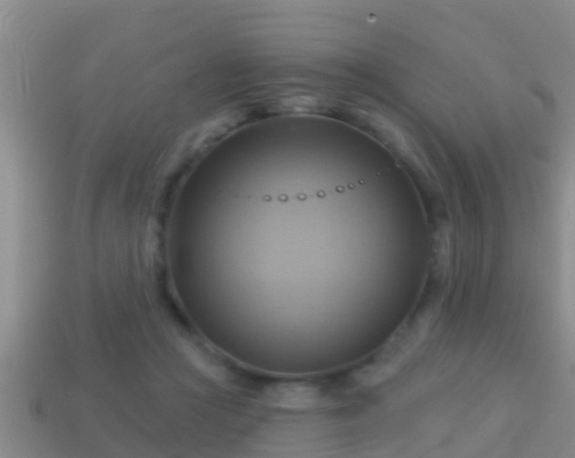 X0000114020361200910091418