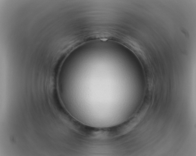 X0000114020362200910091418