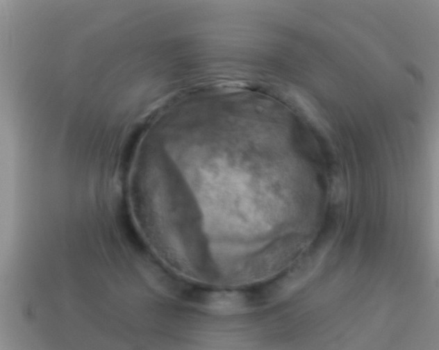 X0000114020363200910091418