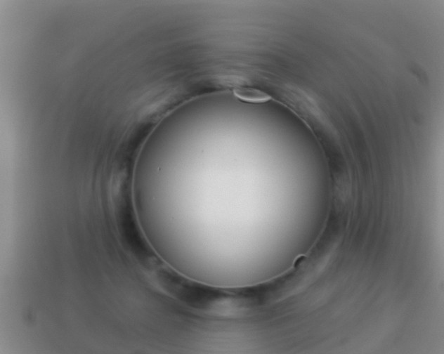 X0000114020364200910091418