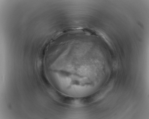 X0000114020365200910091418