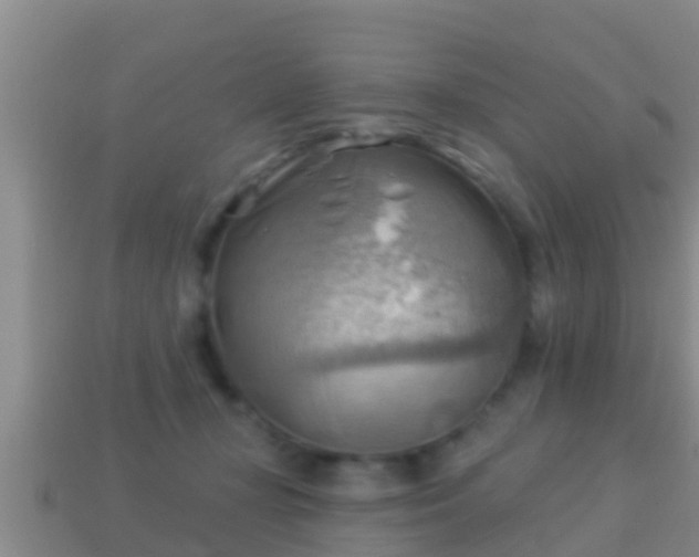 X0000114020367200910091418