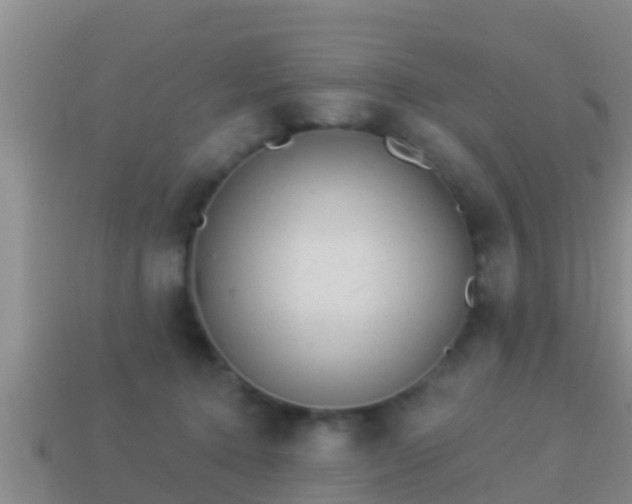 X0000114020368200910091418