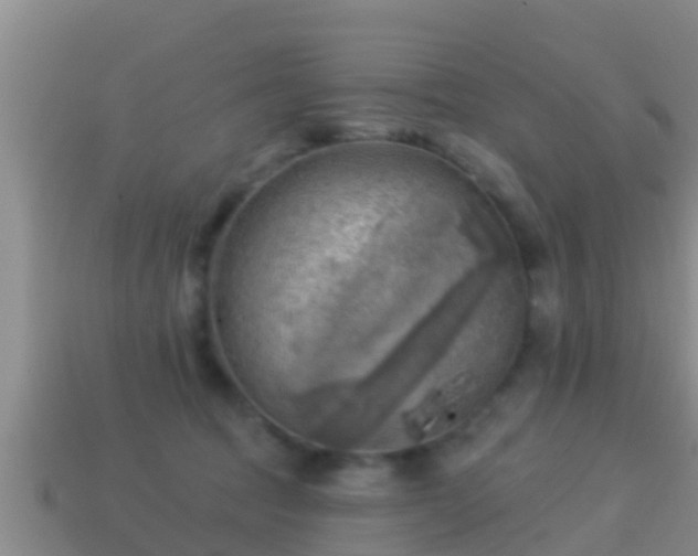 X0000114020369200910091418