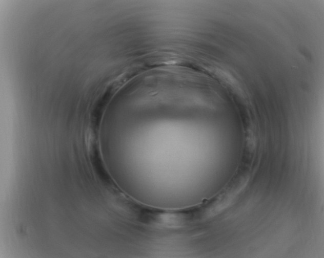 X0000114020371200910091419