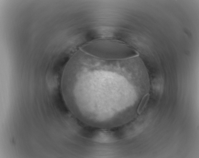 X0000114020372200910091419