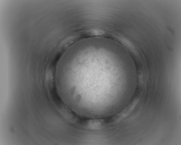 X0000114020373200910091419