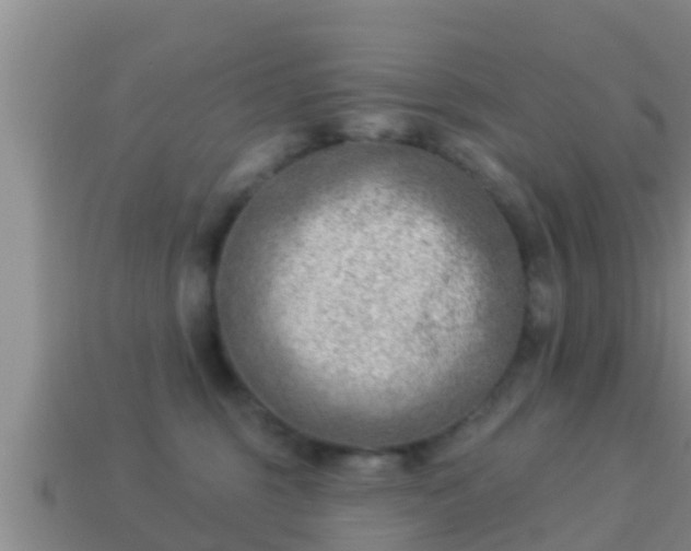 X0000114020375200910091419