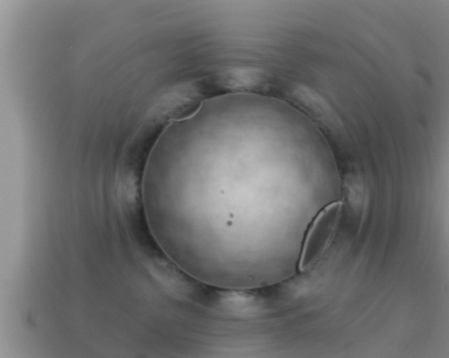 X0000114020380200910091419