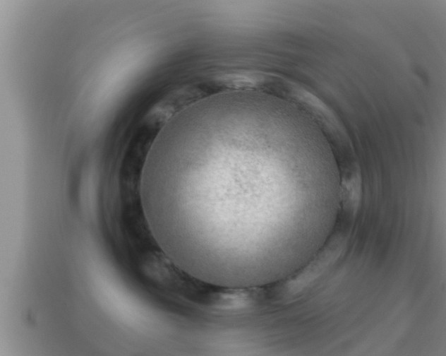 X0000114020381200910091419