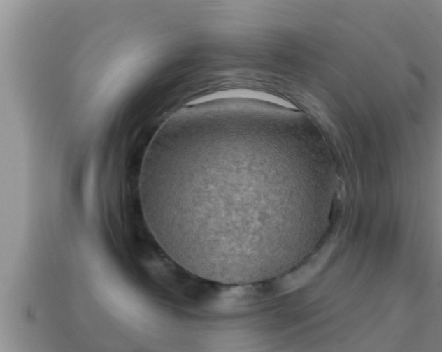 X0000114020382200910091419