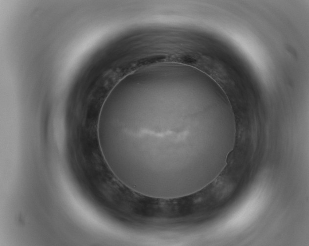 X0000114020383200910091419