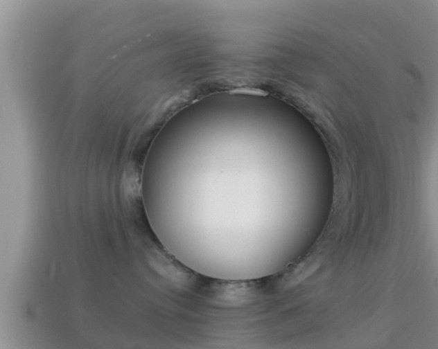 X0000114020384200910091419