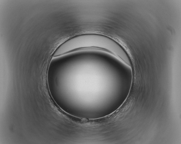 X0000114020385200910091418