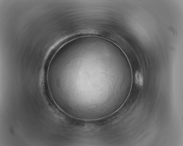 X0000114020388200910091418