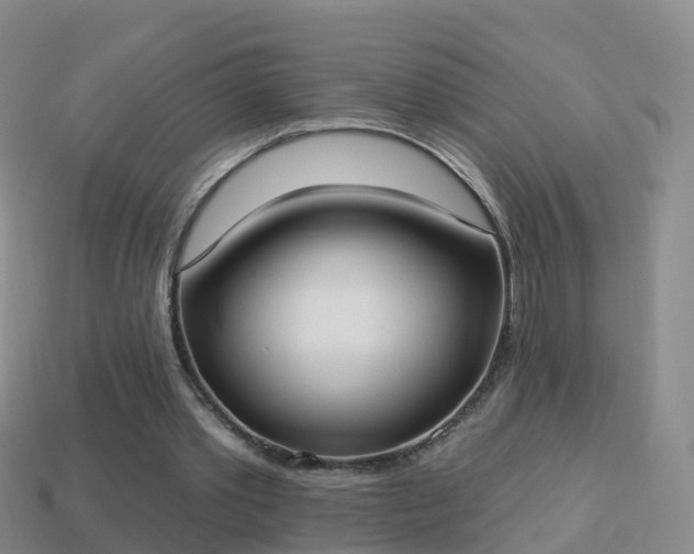 X0000114020389200910091418