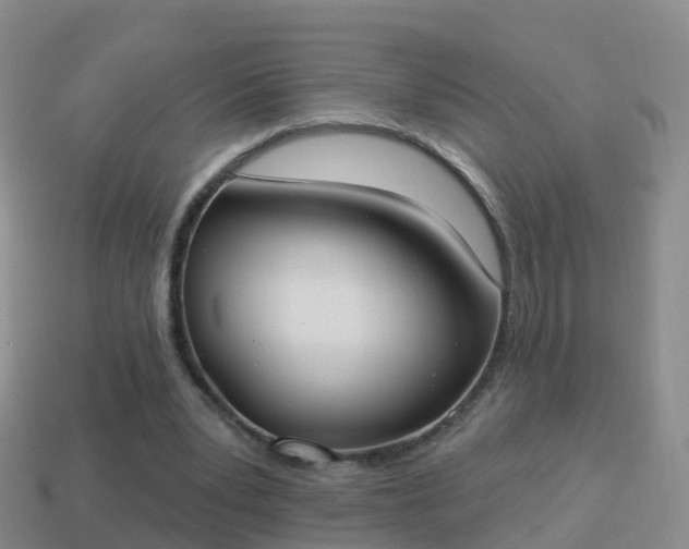 X0000114020391200910091418