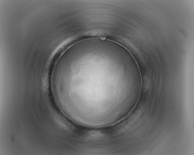 X0000114020392200910091418