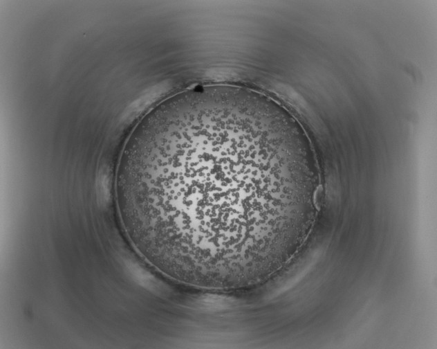 X0000114020393200910091418