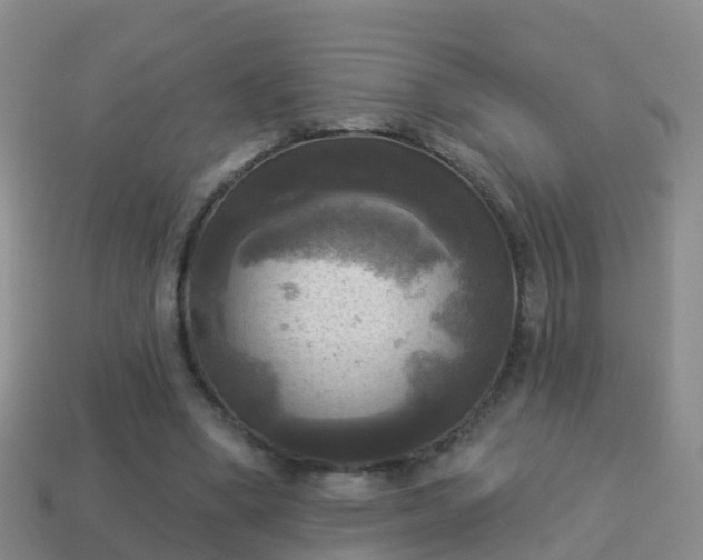 X0000114020394200910091418