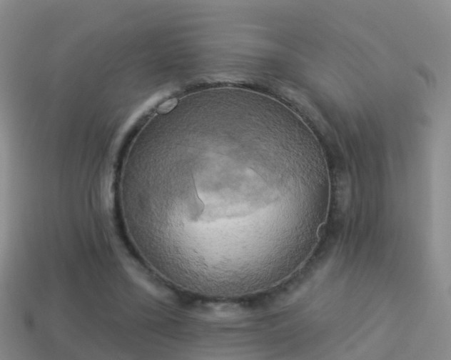 X0000114020395200910091418