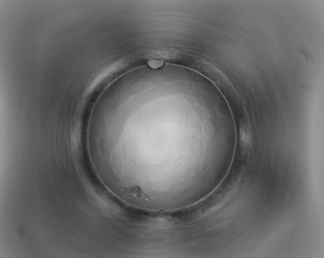 X0000114020396200910091418