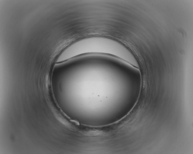 X0000114020397200910091418