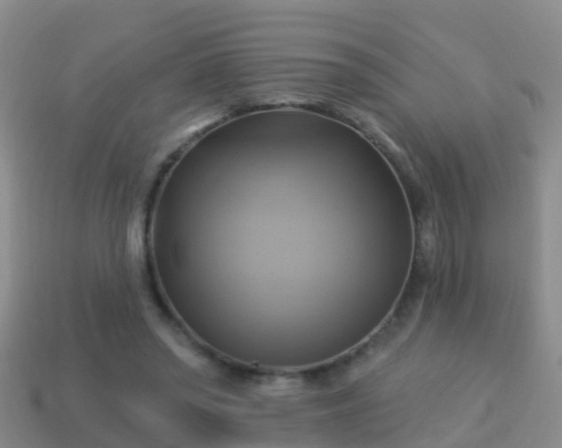 X0000114020398200910091418