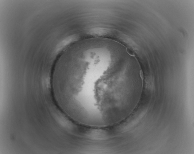 X0000114020399200910091418